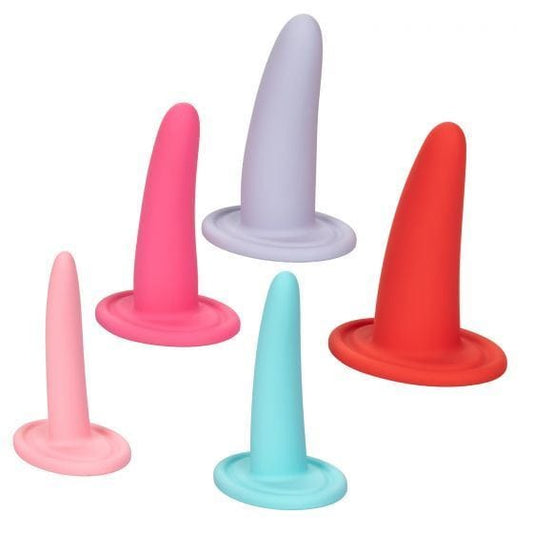 She-ology 5 Piece Wearable Vaginal Dilator Set - Spanksy