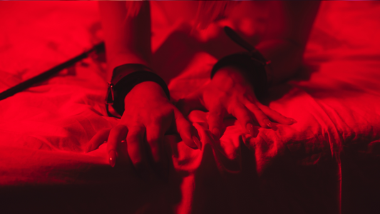 How to Introduce BDSM into Your Relationship - Spanksy