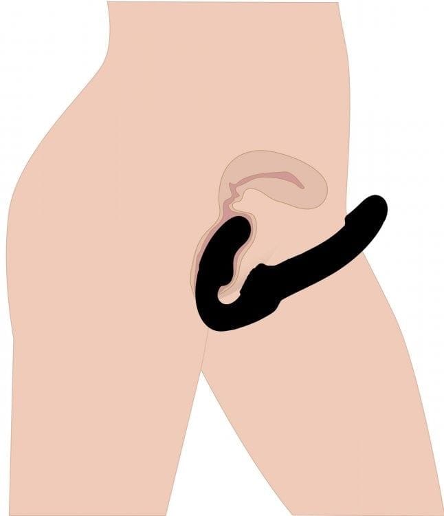 Strap U Strap On Dildo & Harness Revolver Strapless Strap On G - strapless design, curved G-spot design